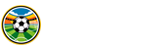 足球直播